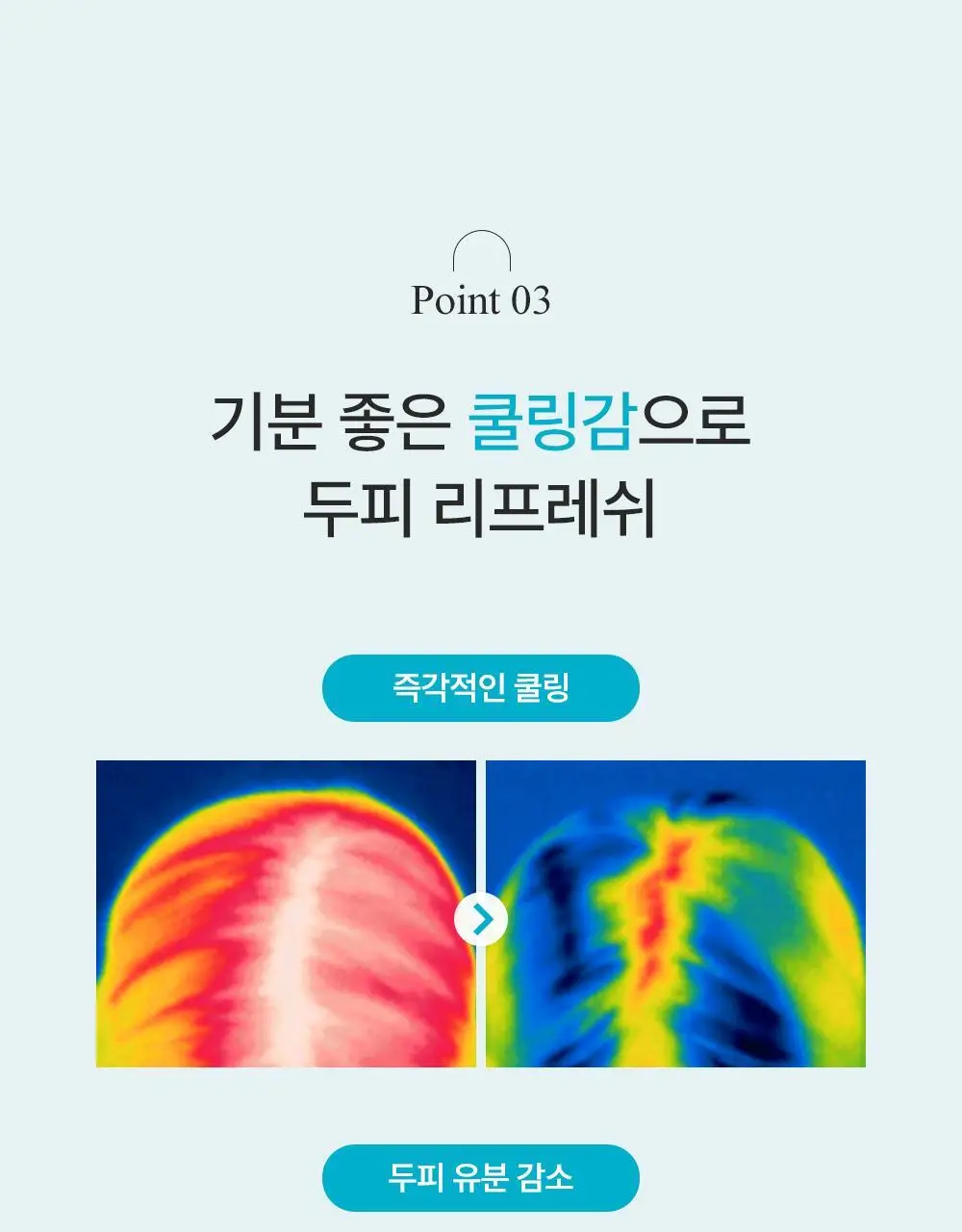 [노세범/쿨링]달리프 쿨링 드라이샴푸 200ml 상세페이지 17